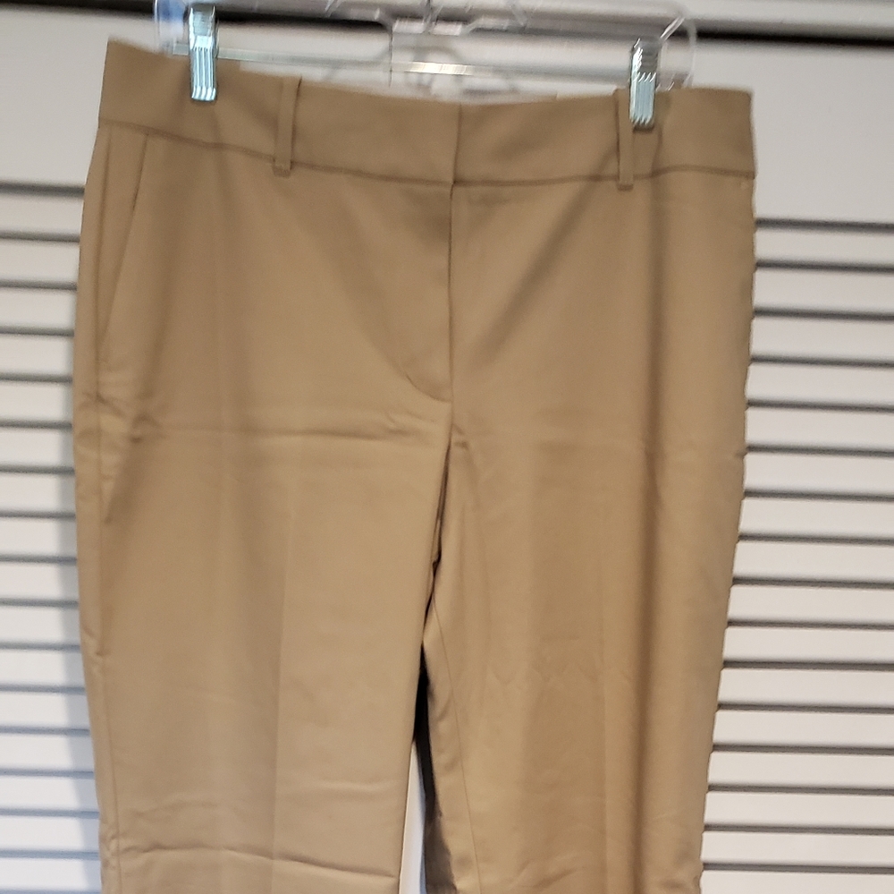 Ann Taylor slacks
